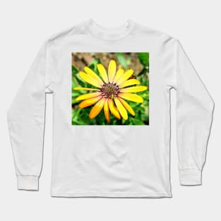 Orange Haze Daisy Long Sleeve T-Shirt